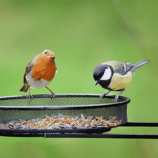 Bird Food (Mix Seed)