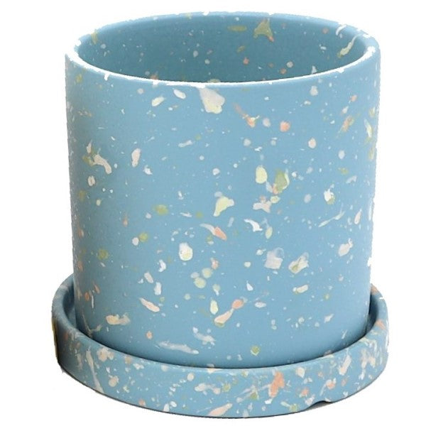 Ceramic Pot with Contrast Dots - www.Greenie.ae Buy online Best and Healthy Plants and quality products guarantee in Dubai Plants Shop in Dubai Abu Dhabi all over UAE Plants near me Fresh Plants in Dubai where to buy plants in UAE - Greenie.ae
