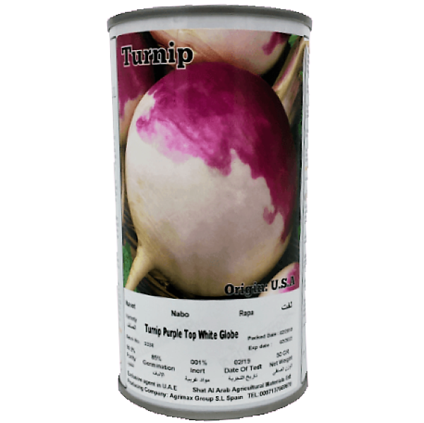 Turnip Purple Top White Globe Seeds Tin - www.Greenie.ae Buy online Best and Healthy Plants and quality products guarantee in Dubai Plants Shop in Dubai Abu Dhabi all over UAE Plants near me Fresh Plants in Dubai where to buy plants in UAE - Greenie.ae