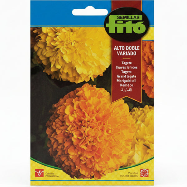 Marigold Tall Double Mix Seeds - www.Greenie.ae Buy online Best and Healthy Plants and quality products guarantee in Dubai Plants Shop in Dubai Abu Dhabi all over UAE Plants near me Fresh Plants in Dubai where to buy plants in UAE - Greenie.ae