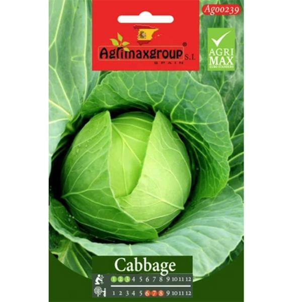 Cabbage Seeds - www.Greenie.ae Buy online Best and Healthy Plants and quality products guarantee in Dubai Plants Shop in Dubai Abu Dhabi all over UAE Plants near me Fresh Plants in Dubai where to buy plants in UAE - Greenie.ae
