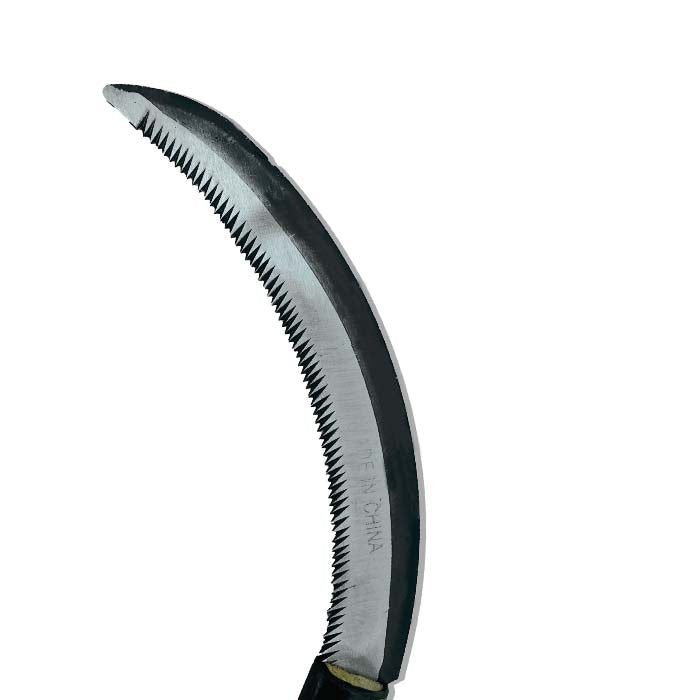 Hump Knife - www.Greenie.ae Buy online Best and Healthy Plants and quality products guarantee in Dubai Plants Shop in Dubai Abu Dhabi all over UAE Plants near me Fresh Plants in Dubai where to buy plants in UAE - Greenie.ae