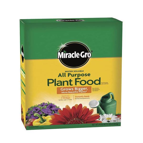 Miracle-Gro Water Soluble All Purpose Plant Food - www.Greenie.ae Buy online Best and Healthy Plants and quality products guarantee in Dubai Plants Shop in Dubai Abu Dhabi all over UAE Plants near me Fresh Plants in Dubai where to buy plants in UAE - Greenie.ae