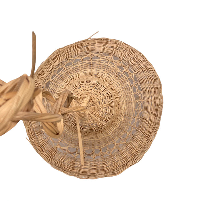 SRG C4 - www.Greenie.ae Buy online Best and Healthy Plants and quality products guarantee in Dubai Plants Shop in Dubai Abu Dhabi all over UAE Plants near me Fresh Plants in Dubai where to buy plants in UAE - Greenie.ae