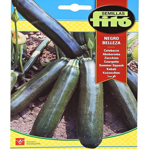 Summer Squash Negro Belleza 10g, Fito - www.Greenie.ae Buy online Best and Healthy Plants and quality products guarantee in Dubai Plants Shop in Dubai Abu Dhabi all over UAE Plants near me Fresh Plants in Dubai where to buy plants in UAE - Greenie.ae