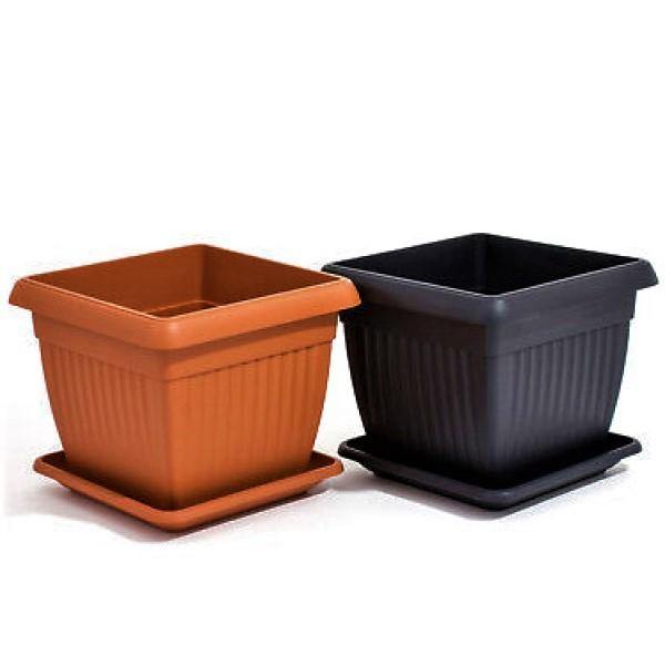 Cosmoplast Square Planter - www.Greenie.ae Buy online Best and Healthy Plants and quality products guarantee in Dubai Plants Shop in Dubai Abu Dhabi all over UAE Plants near me Fresh Plants in Dubai where to buy plants in UAE - Greenie.ae
