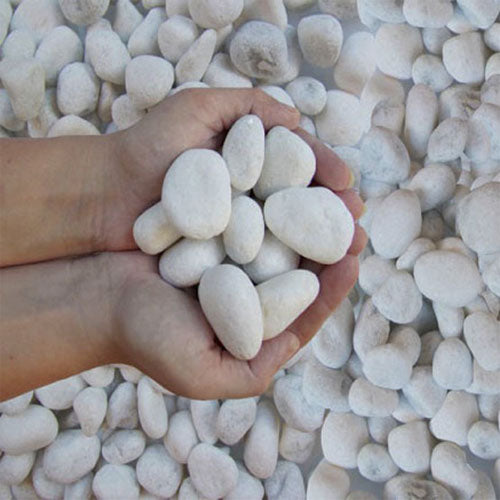 Snow white pebbles 20KG - www.Greenie.ae Buy online Best and Healthy Plants and quality products guarantee in Dubai Plants Shop in Dubai Abu Dhabi all over UAE Plants near me Fresh Plants in Dubai where to buy plants in UAE - Greenie.ae