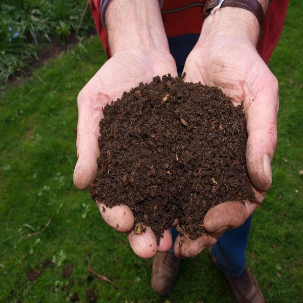 Vermicompost for Organic Farming - www.Greenie.ae Buy online Best and Healthy Plants and quality products guarantee in Dubai Plants Shop in Dubai Abu Dhabi all over UAE Plants near me Fresh Plants in Dubai where to buy plants in UAE - Greenie.ae