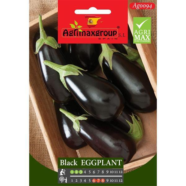 Black Eggplant Seeds - www.Greenie.ae Buy online Best and Healthy Plants and quality products guarantee in Dubai Plants Shop in Dubai Abu Dhabi all over UAE Plants near me Fresh Plants in Dubai where to buy plants in UAE - Greenie.ae