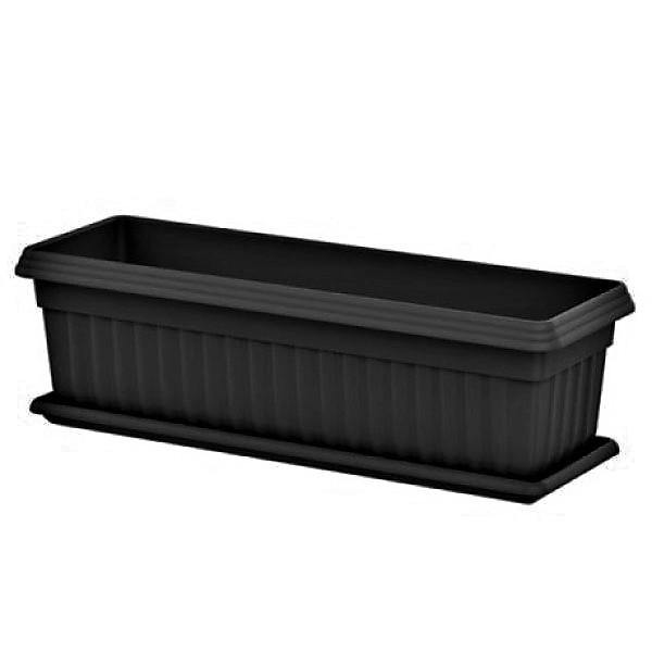 Cosmoplast Rectangular Planter - www.Greenie.ae Buy online Best and Healthy Plants and quality products guarantee in Dubai Plants Shop in Dubai Abu Dhabi all over UAE Plants near me Fresh Plants in Dubai where to buy plants in UAE - Greenie.ae