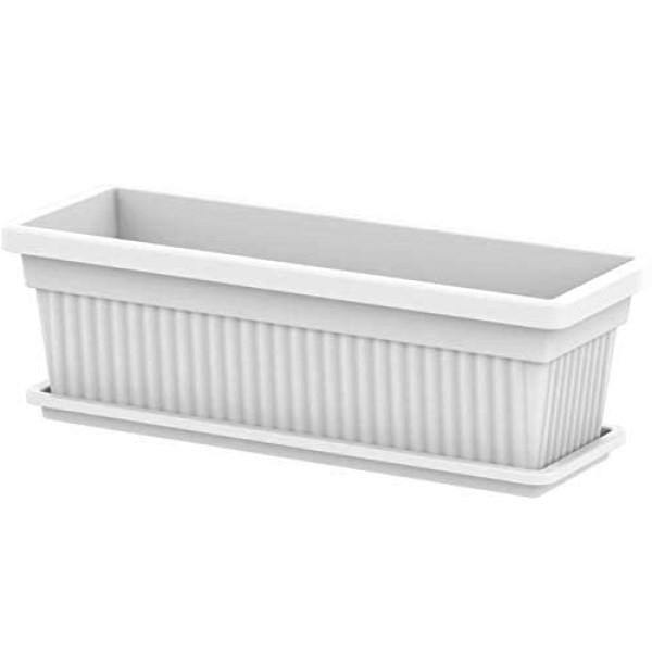 Cosmoplast Rectangular Planter - www.Greenie.ae Buy online Best and Healthy Plants and quality products guarantee in Dubai Plants Shop in Dubai Abu Dhabi all over UAE Plants near me Fresh Plants in Dubai where to buy plants in UAE - Greenie.ae