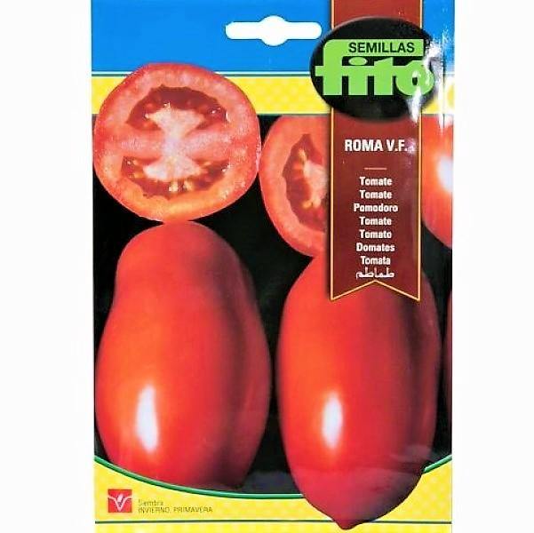 Tomato Roma VF Seeds - www.Greenie.ae Buy online Best and Healthy Plants and quality products guarantee in Dubai Plants Shop in Dubai Abu Dhabi all over UAE Plants near me Fresh Plants in Dubai where to buy plants in UAE - Greenie.ae