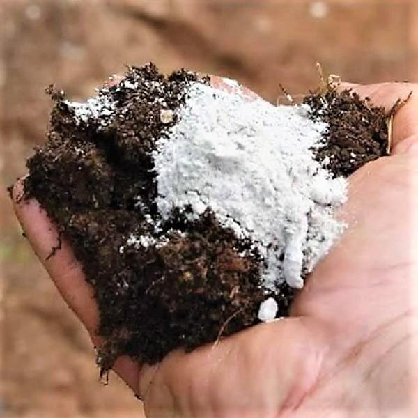 Agriculture Gypsum - www.Greenie.ae Buy online Best and Healthy Plants and quality products guarantee in Dubai Plants Shop in Dubai Abu Dhabi all over UAE Plants near me Fresh Plants in Dubai where to buy plants in UAE - Greenie.ae