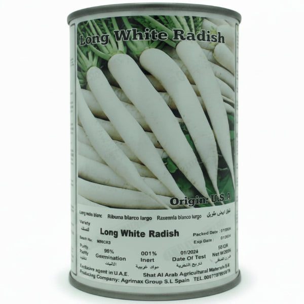 Long white radish Seeds Tin - www.Greenie.ae Buy online Best and Healthy Plants and quality products guarantee in Dubai Plants Shop in Dubai Abu Dhabi all over UAE Plants near me Fresh Plants in Dubai where to buy plants in UAE - Greenie.ae