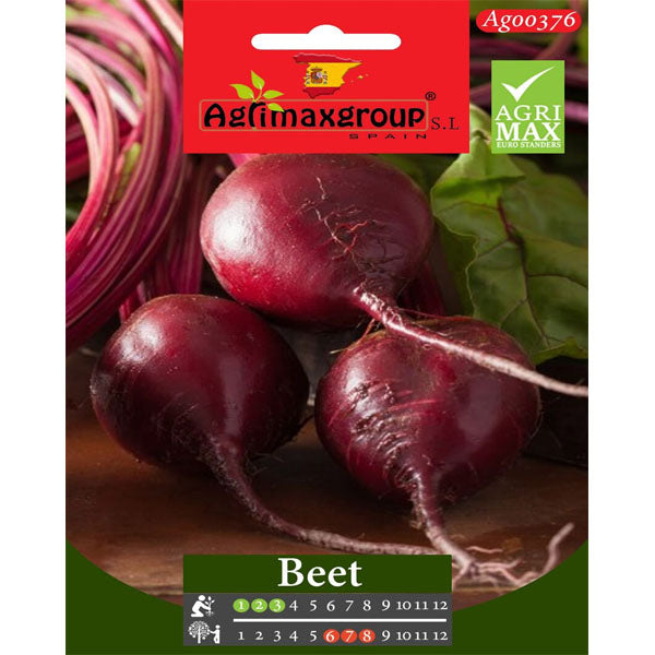Red Beet Seeds - www.Greenie.ae Buy online Best and Healthy Plants and quality products guarantee in Dubai Plants Shop in Dubai Abu Dhabi all over UAE Plants near me Fresh Plants in Dubai where to buy plants in UAE - Greenie.ae