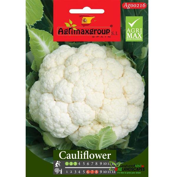 Cauliflower Seeds - www.Greenie.ae Buy online Best and Healthy Plants and quality products guarantee in Dubai Plants Shop in Dubai Abu Dhabi all over UAE Plants near me Fresh Plants in Dubai where to buy plants in UAE - Greenie.ae