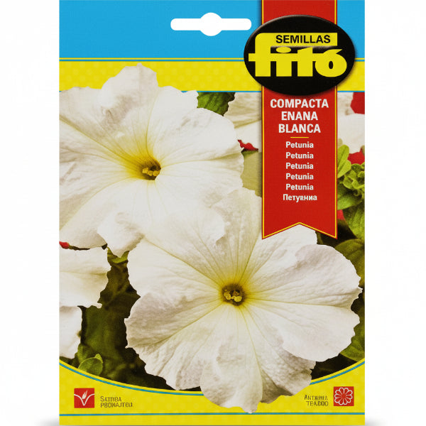 Dwarf Compact White Seeds - www.Greenie.ae Buy online Best and Healthy Plants and quality products guarantee in Dubai Plants Shop in Dubai Abu Dhabi all over UAE Plants near me Fresh Plants in Dubai where to buy plants in UAE - Greenie.ae