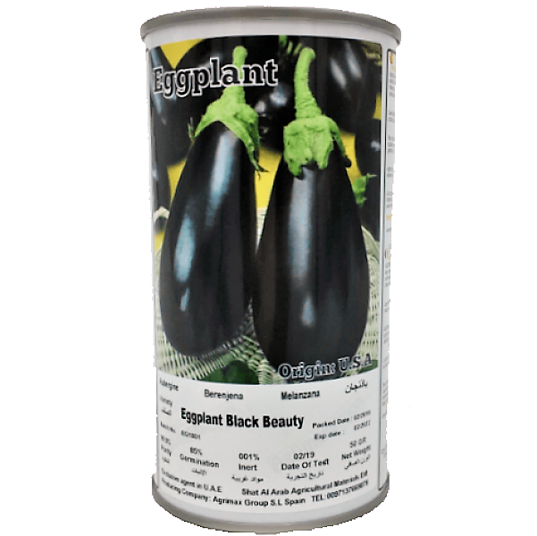 Eggplant Black Beauty Seeds Tin - www.Greenie.ae Buy online Best and Healthy Plants and quality products guarantee in Dubai Plants Shop in Dubai Abu Dhabi all over UAE Plants near me Fresh Plants in Dubai where to buy plants in UAE - Greenie.ae