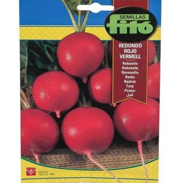 Radish Redondo Rojo Vermell Seeds - www.Greenie.ae Buy online Best and Healthy Plants and quality products guarantee in Dubai Plants Shop in Dubai Abu Dhabi all over UAE Plants near me Fresh Plants in Dubai where to buy plants in UAE - Greenie.ae