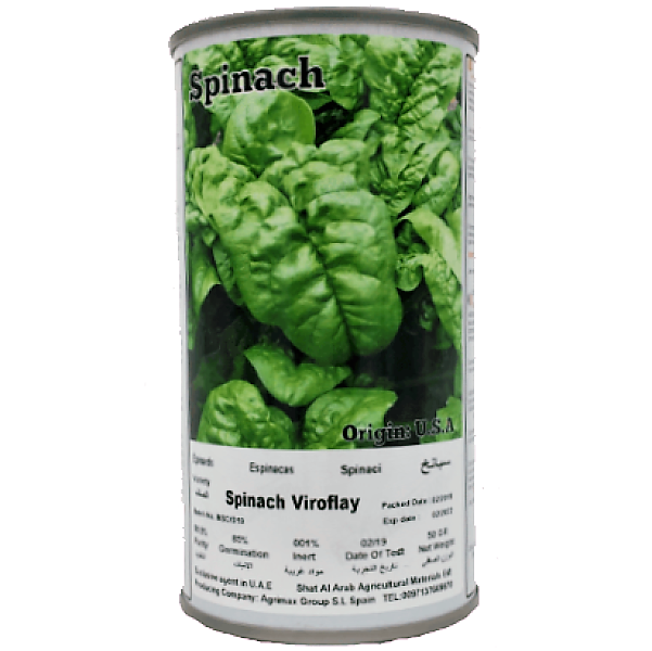 Spinach Virofalay Seeds Tin - www.Greenie.ae Buy online Best and Healthy Plants and quality products guarantee in Dubai Plants Shop in Dubai Abu Dhabi all over UAE Plants near me Fresh Plants in Dubai where to buy plants in UAE - Greenie.ae