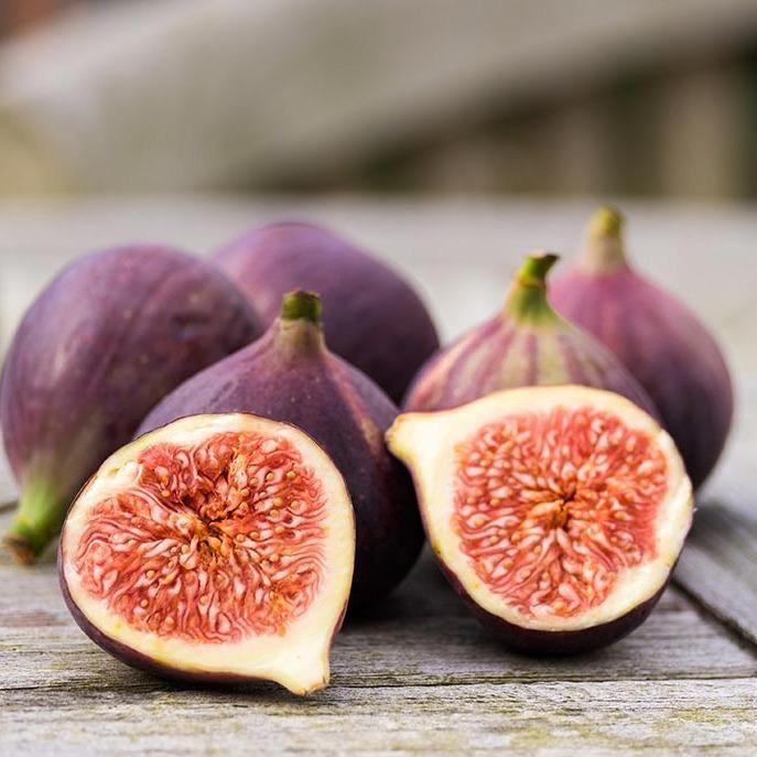 Fig Tree, Ficus Carica - www.Greenie.ae Buy online Best and Healthy Plants and quality products guarantee in Dubai Plants Shop in Dubai Abu Dhabi all over UAE Plants near me Fresh Plants in Dubai where to buy plants in UAE - Greenie.ae