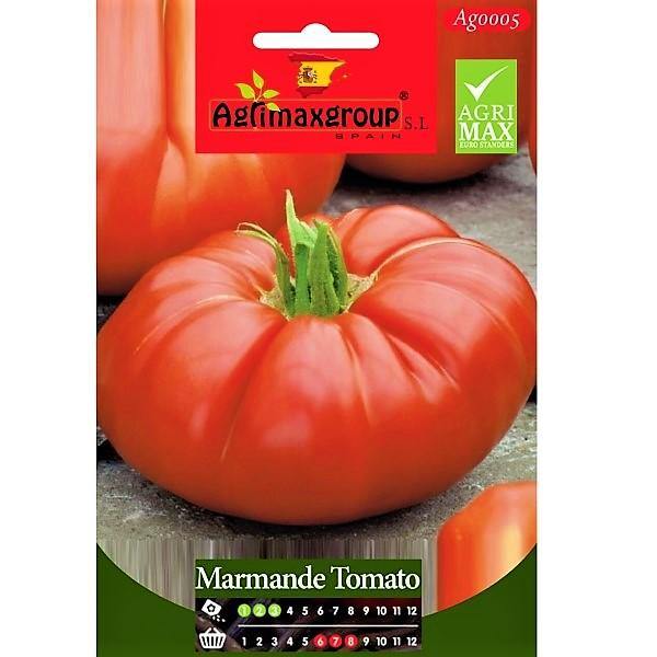 Marmande Tomato Seeds - www.Greenie.ae Buy online Best and Healthy Plants and quality products guarantee in Dubai Plants Shop in Dubai Abu Dhabi all over UAE Plants near me Fresh Plants in Dubai where to buy plants in UAE - Greenie.ae