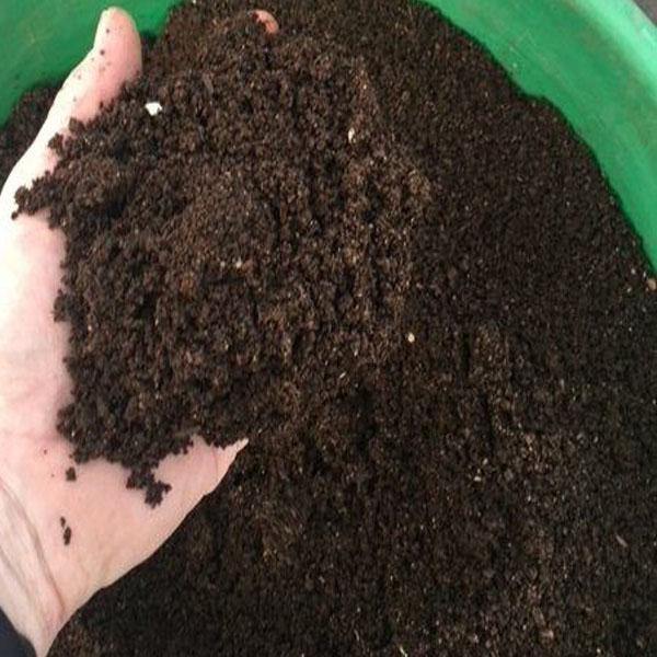 Black Gold Organic Vermi Fertilizer - www.Greenie.ae Buy online Best and Healthy Plants and quality products guarantee in Dubai Plants Shop in Dubai Abu Dhabi all over UAE Plants near me Fresh Plants in Dubai where to buy plants in UAE - Greenie.ae
