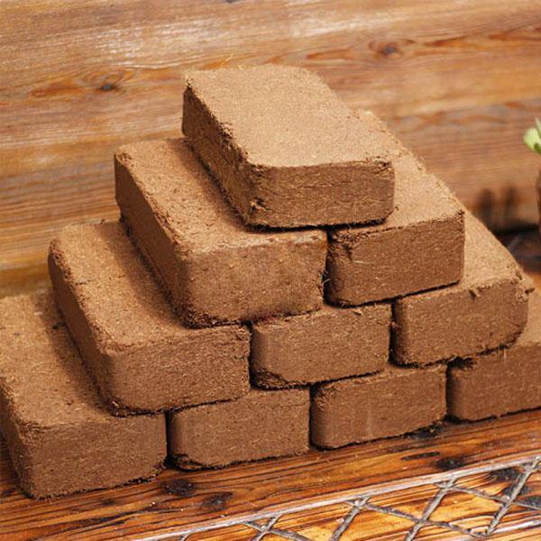 Coco Peat Block - www.Greenie.ae Buy online Best and Healthy Plants and quality products guarantee in Dubai Plants Shop in Dubai Abu Dhabi all over UAE Plants near me Fresh Plants in Dubai where to buy plants in UAE - Greenie.ae