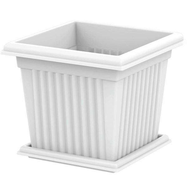 Cosmoplast Square Planter - www.Greenie.ae Buy online Best and Healthy Plants and quality products guarantee in Dubai Plants Shop in Dubai Abu Dhabi all over UAE Plants near me Fresh Plants in Dubai where to buy plants in UAE - Greenie.ae