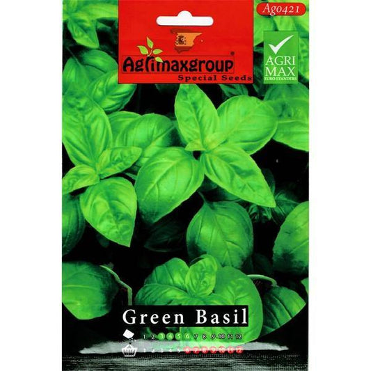 Green Basil Seeds - www.Greenie.ae Buy online Best and Healthy Plants and quality products guarantee in Dubai Plants Shop in Dubai Abu Dhabi all over UAE Plants near me Fresh Plants in Dubai where to buy plants in UAE - Greenie.ae
