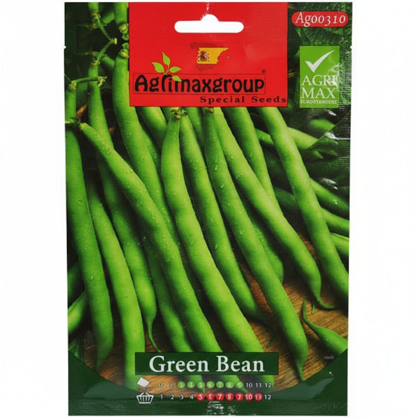 Green Bean Seeds - www.Greenie.ae Buy online Best and Healthy Plants and quality products guarantee in Dubai Plants Shop in Dubai Abu Dhabi all over UAE Plants near me Fresh Plants in Dubai where to buy plants in UAE - Greenie.ae