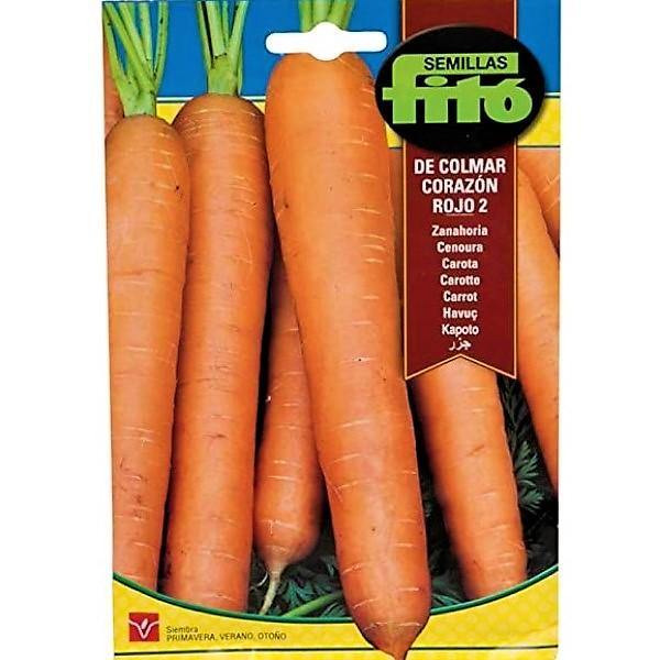 Carrot Colmar Red Heart Seeds - www.Greenie.ae Buy online Best and Healthy Plants and quality products guarantee in Dubai Plants Shop in Dubai Abu Dhabi all over UAE Plants near me Fresh Plants in Dubai where to buy plants in UAE - Greenie.ae