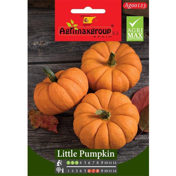 Little Pumpkin Seeds - www.Greenie.ae Buy online Best and Healthy Plants and quality products guarantee in Dubai Plants Shop in Dubai Abu Dhabi all over UAE Plants near me Fresh Plants in Dubai where to buy plants in UAE - Greenie.ae