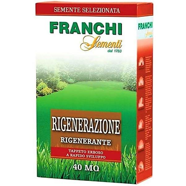 Grass Seeds by FRANCHI RIGENERAZIONE - www.Greenie.ae Buy online Best and Healthy Plants and quality products guarantee in Dubai Plants Shop in Dubai Abu Dhabi all over UAE Plants near me Fresh Plants in Dubai where to buy plants in UAE - Greenie.ae