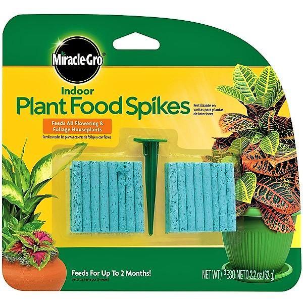 Miracle-Gro Indoor Plant Food - www.Greenie.ae Buy online Best and Healthy Plants and quality products guarantee in Dubai Plants Shop in Dubai Abu Dhabi all over UAE Plants near me Fresh Plants in Dubai where to buy plants in UAE - Greenie.ae