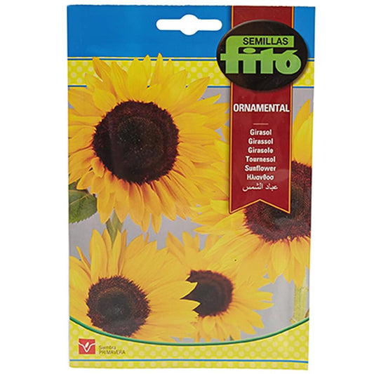 Sunflower Seeds 110mg Seeds - www.Greenie.ae Buy online Best and Healthy Plants and quality products guarantee in Dubai Plants Shop in Dubai Abu Dhabi all over UAE Plants near me Fresh Plants in Dubai where to buy plants in UAE - Greenie.ae