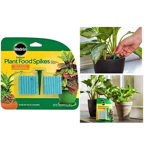 Miracle-Gro Indoor Plant Food - www.Greenie.ae Buy online Best and Healthy Plants and quality products guarantee in Dubai Plants Shop in Dubai Abu Dhabi all over UAE Plants near me Fresh Plants in Dubai where to buy plants in UAE - Greenie.ae