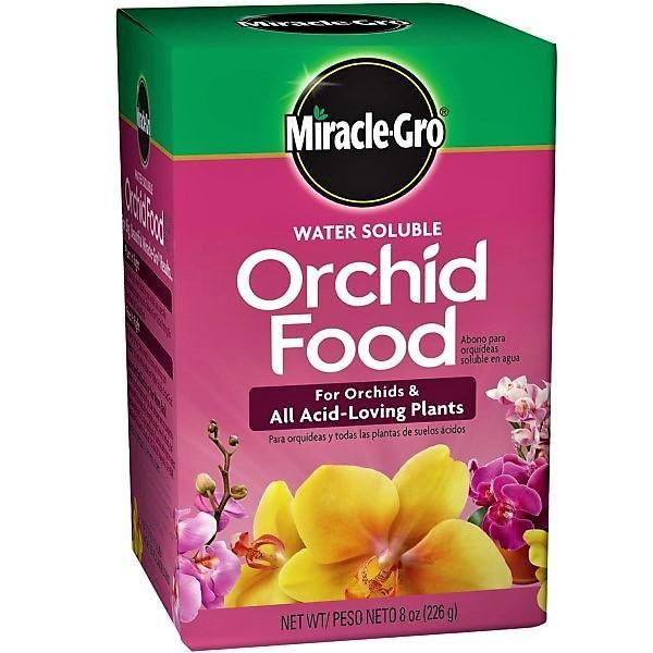 Miracle-Gro Orchid Food - www.Greenie.ae Buy online Best and Healthy Plants and quality products guarantee in Dubai Plants Shop in Dubai Abu Dhabi all over UAE Plants near me Fresh Plants in Dubai where to buy plants in UAE - Greenie.ae