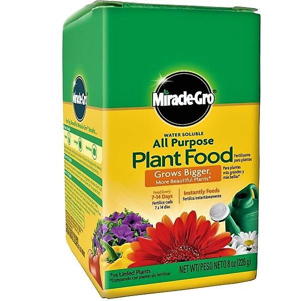 Miracle-Gro Water Soluble All Purpose Plant Food - www.Greenie.ae Buy online Best and Healthy Plants and quality products guarantee in Dubai Plants Shop in Dubai Abu Dhabi all over UAE Plants near me Fresh Plants in Dubai where to buy plants in UAE - Greenie.ae