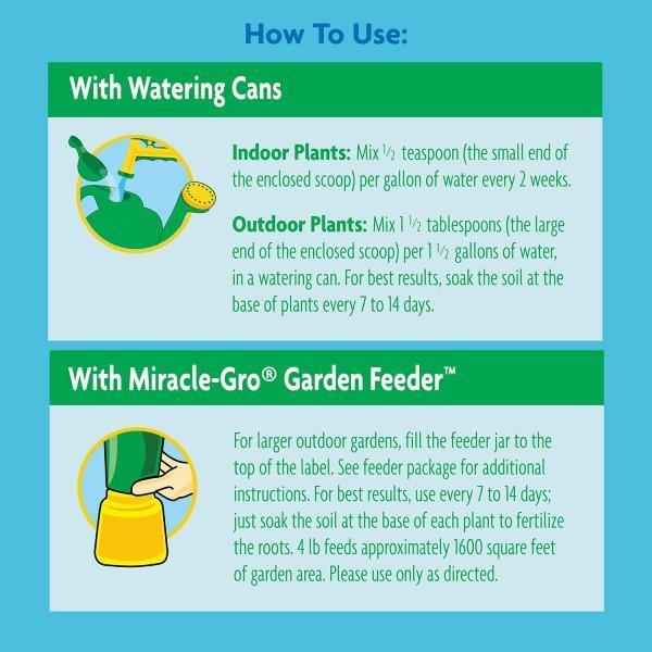 Miracle-Gro Acid-Loving Plant Food - www.Greenie.ae Buy online Best and Healthy Plants and quality products guarantee in Dubai Plants Shop in Dubai Abu Dhabi all over UAE Plants near me Fresh Plants in Dubai where to buy plants in UAE - Greenie.ae