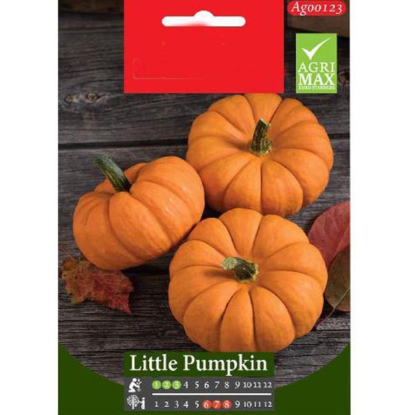 Little Pumpkin Seeds - www.Greenie.ae Buy online Best and Healthy Plants and quality products guarantee in Dubai Plants Shop in Dubai Abu Dhabi all over UAE Plants near me Fresh Plants in Dubai where to buy plants in UAE - Greenie.ae