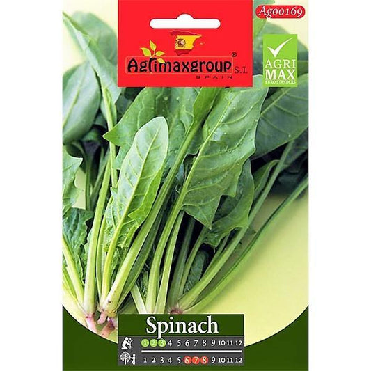 Spinach Seeds - www.Greenie.ae Buy online Best and Healthy Plants and quality products guarantee in Dubai Plants Shop in Dubai Abu Dhabi all over UAE Plants near me Fresh Plants in Dubai where to buy plants in UAE - Greenie.ae