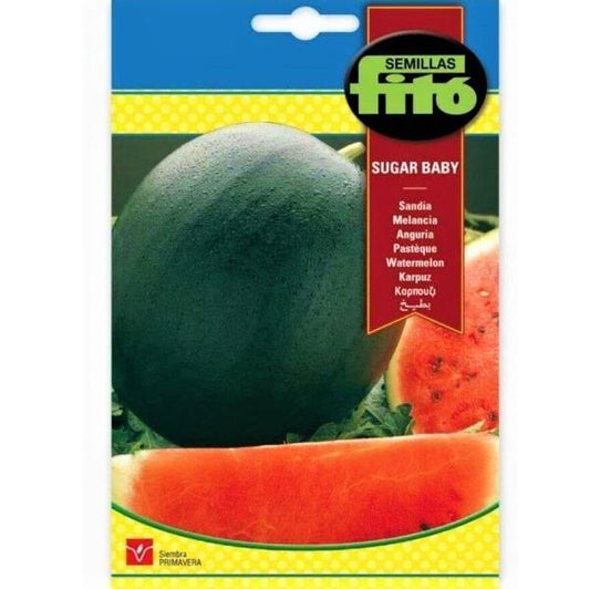 Watermelon Sugar Baby Seeds - www.Greenie.ae Buy online Best and Healthy Plants and quality products guarantee in Dubai Plants Shop in Dubai Abu Dhabi all over UAE Plants near me Fresh Plants in Dubai where to buy plants in UAE - Greenie.ae