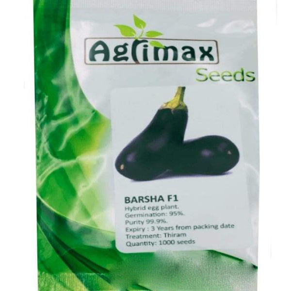 Egg Plant Barsha F1 Premium Quality Seeds - www.Greenie.ae Buy online Best and Healthy Plants and quality products guarantee in Dubai Plants Shop in Dubai Abu Dhabi all over UAE Plants near me Fresh Plants in Dubai where to buy plants in UAE - Greenie.ae