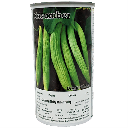 Cucumber Mekty White Trailing Seeds Tin - www.Greenie.ae Buy online Best and Healthy Plants and quality products guarantee in Dubai Plants Shop in Dubai Abu Dhabi all over UAE Plants near me Fresh Plants in Dubai where to buy plants in UAE - Greenie.ae