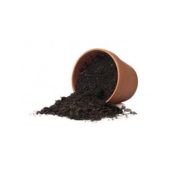 Potting Soil by Shalimar - www.Greenie.ae Buy online Best and Healthy Plants and quality products guarantee in Dubai Plants Shop in Dubai Abu Dhabi all over UAE Plants near me Fresh Plants in Dubai where to buy plants in UAE - Greenie.ae