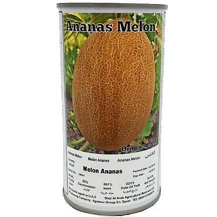Melon Ananas Seeds Tin - www.Greenie.ae Buy online Best and Healthy Plants and quality products guarantee in Dubai Plants Shop in Dubai Abu Dhabi all over UAE Plants near me Fresh Plants in Dubai where to buy plants in UAE - Greenie.ae