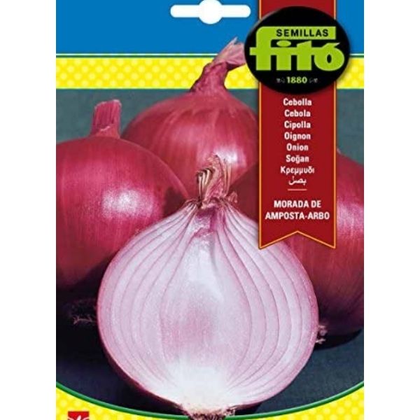 Morada de Amposta Arbo Seeds - www.Greenie.ae Buy online Best and Healthy Plants and quality products guarantee in Dubai Plants Shop in Dubai Abu Dhabi all over UAE Plants near me Fresh Plants in Dubai where to buy plants in UAE - Greenie.ae