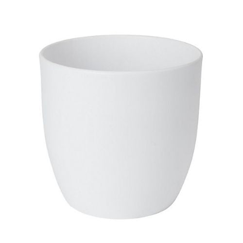White Pot Porcelain - www.Greenie.ae Buy online Best and Healthy Plants and quality products guarantee in Dubai Plants Shop in Dubai Abu Dhabi all over UAE Plants near me Fresh Plants in Dubai where to buy plants in UAE - Greenie.ae