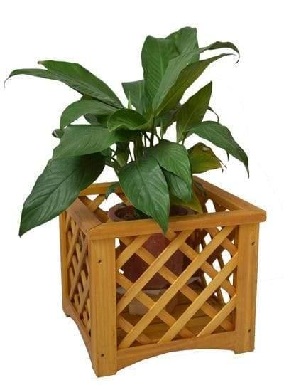 Handmade Cross Planter Keeper - www.Greenie.ae Buy online Best and Healthy Plants and quality products guarantee in Dubai Plants Shop in Dubai Abu Dhabi all over UAE Plants near me Fresh Plants in Dubai where to buy plants in UAE - Greenie.ae